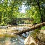 Rock-Creek-Park-150x150 Ultimate Washington, D.C. Travel Guide: Top 1 Attractions, Tips, and Must-See Spots