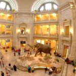 smithsonian-museum-natural-history-150x150 Ultimate Washington, D.C. Travel Guide: Top 1 Attractions, Tips, and Must-See Spots